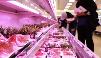 거울철 전염병에 달걀·닭고기값 '꿈틀'…고환율에 가공식품도 '불안'