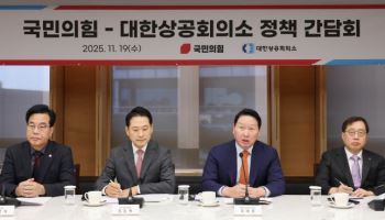 최태원, 국회에 금산분리 완화 건의…반도체 투자 힘받나(종합)