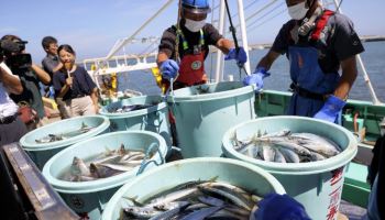 中, 전방위 日압박…이번엔 '수산물 수입 중단' 카드(상보)