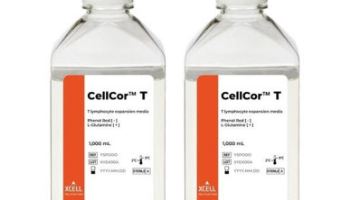 엑셀세라퓨틱스, ‘셀커’ UAE 진출…중동 공급 거점 확보