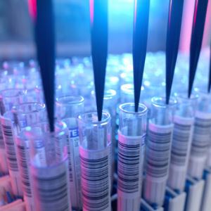 WHO 역할 커지는데...‘인력 대규모 감축’[클릭, 글로벌 제약·바이오]