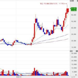빅파마가 찜한 韓 비만약 제형변경 기술에 기대감 증폭[바이오맥짚기]