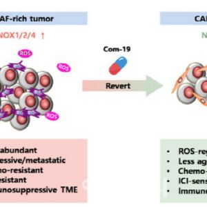 압타바이오, 면역항암제 ‘APX-343A’ 유럽 특허 확보…글로벌 경쟁력 강화