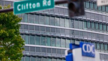 美동물 실험 축소하나…CDC, 원숭이 실험 중단 예고[제약·바이오 해외토픽]