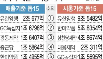 [조단위 K-바이오]전통제약사, 매출과 시총 사이 괴리에서 ‘신약’ 고민(下)