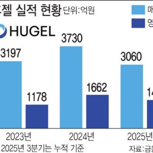 '국내 보톡스 왕좌' 휴젤, 사상 최대 실적 경신 노림수는?