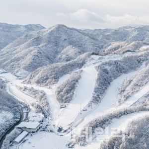 스키장 전쟁 시작…싹 다 바꾼 ‘엘리시안 강촌’ 포문 연다