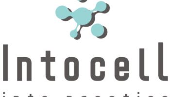 인투셀, 고형암 치료제 'ITC-6146RO' 임상 1상 계획 식약처 승인