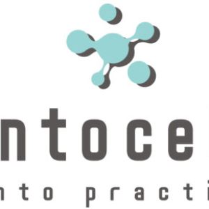 인투셀, 고형암 치료제 'ITC-6146RO' 임상 1상 계획 식약처 승인