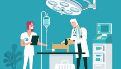 '허위·과장 광고 난무' 동물병원…공정위 제재 조치