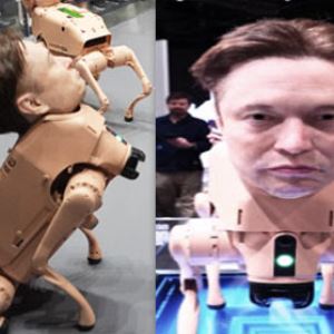 머스크 얼굴 달고 NFT 똥을…1억 넘는 로봇견 완판