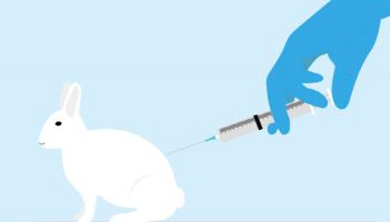 신약 개발 임상 동물 사용 감소 전망...‘FDA 솔선’[클릭, 글로벌 제약·바이오]