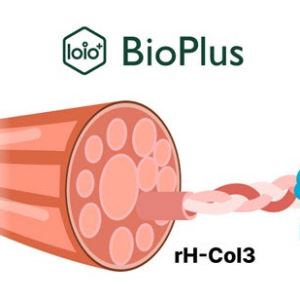 바이오플러스 "국내 최초 재조합 타입 Ⅲ 콜라겐 개발 성공"