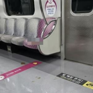 “옆칸으로 대피” 대구 지하철 임신부석 ‘대변 테러’ 논란