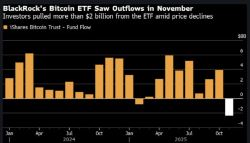 코인 급락에도 수익률 '잭팟'…개미들 미리 살 걸 눈물