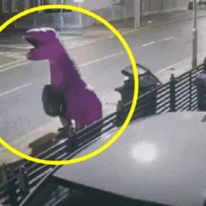 쓰레기 투척도 가지가지...'공룡탈' 누구냐 넌 (영상)