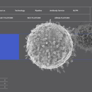 中 헨리우스, 앱클론 기술이전 'HLX22' 유방암 임상 본격화…"로열티 상승 기대"