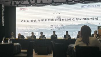 [마켓인]"중국 공급과잉…석유화학·철강·디스플레이 내년도 어렵다”