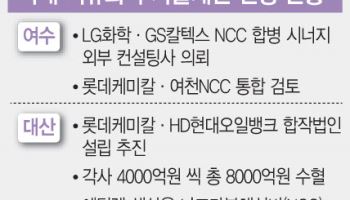 석화 사업재편 카운트다운…기업들 막판 스퍼트