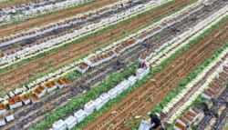 1인 60만·50만·20만원 민생지원금 받는다...어디야?