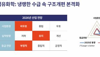 [마켓인]석유화학 내년에도 적자 예상…“불황의 연속”