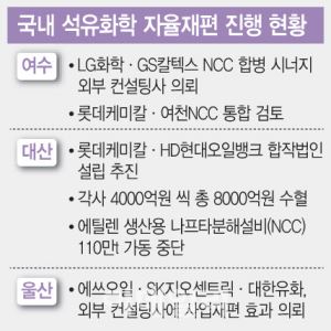 석화 사업재편 카운트다운…기업들 막판 스퍼트