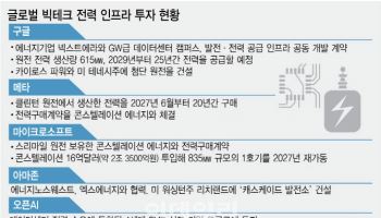 美원전 부흥 힘실어주는 ‘큰손’ 빅테크