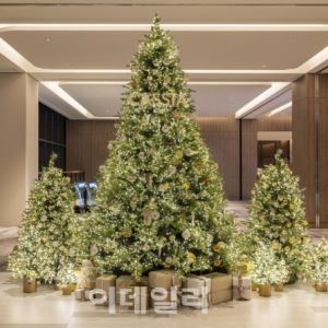 “동해서 즐기는 크리스마스”…카시아 속초, 연말 패키지 선보여