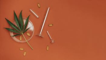 美 정부, 대마초 의학적 효능 인정(?) 업계 촉각[클릭, 글로벌 제약·바이오]