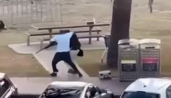 '시드니 부자 총격범' 덮친 남성의 정체..."제압 중 총격 당해"