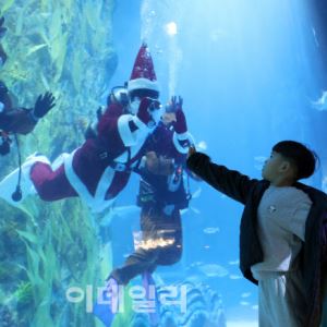 [포토]수중산타와의 만남                                                                                                                                                                                 
