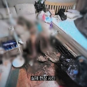 온몸 구더기 들끓다 숨진 아내…방치한 부사관 남편 결국