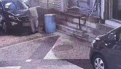 길고양이 안전고깔에 가두고…잔혹 학대해 죽인 20대 집유