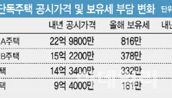 성수동 23억 단독주택, 내년 보유세 100만원 오른다