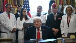 대마초주 '폭락'…규제 완화에 급등하더니 지옥행, 왜?