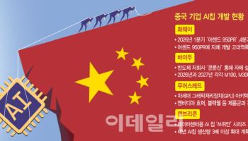 첨단 AI칩 개발 속도내는 中…기술 자립으로 '반도체 굴기'