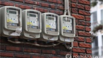 기후위기 시대에 피터팬은 없다