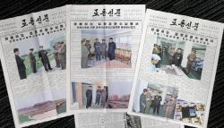 “XX 집단” “선동매체”…北노동신문 공개에 ‘위키백과' 들썩