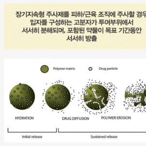 장기지속형 대세론에 제동, 비만치료제 주 1회·경구 지배 전망…업계 시각은