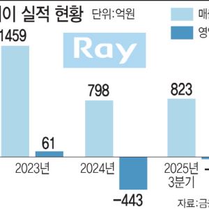 "ECM 제품에 3D 안면스캐너 기술 접목"...레이, 에스테틱 신사업 승부수