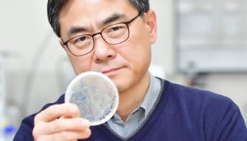 Enterobiome Accelerates 'Revenue-First' Strategy with U.S. Launch of 'FLOUREN&apos...