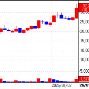 Surge of the Medical Device Trio... Graphy·Livsmed·WSI Skyrocket [K-Bio Pulse]