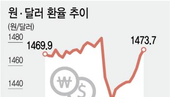 다시 1500원 바라보는 환율에…'달러 빼돌리는 기업' 집중 단속