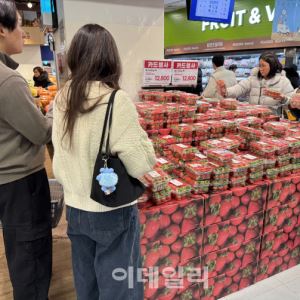 "손주 줄 딸기, 비싸서 내려놨어"…텅 빈 장바구니 '한파'[르포]