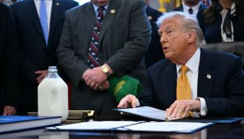 美에 "관세 환급해달라"…대한전선 등 1000여개 기업 줄소송