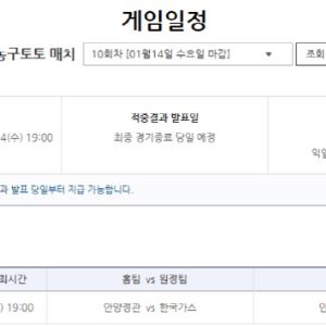 상대 전적 전승의 정관장, 연승 흐름의 가스공사… 농구토토 매치 10회차 마감 임박