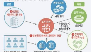 토큰증권 시대 열린다…부동산·미술품 조각투자 가능(종합)