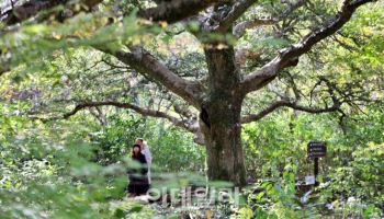 푸릇푸릇, 여기 겨울 맞나요? [여행]