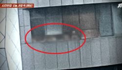 “알몸 다 보여 신고했는데…” 서초구 호텔 사우나서 무슨 일이