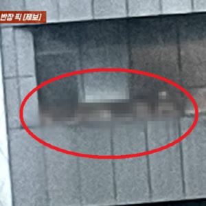 “알몸 다 보여 신고했는데…” 서초구 호텔 사우나서 무슨 일이